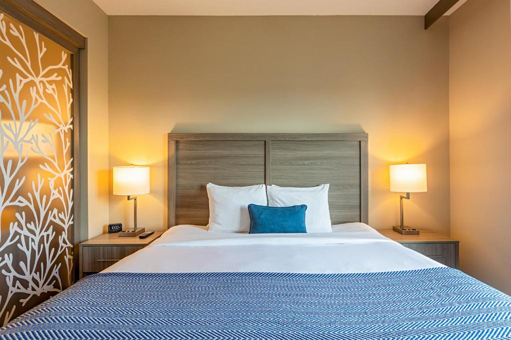 Suite, 1 King Bed photo