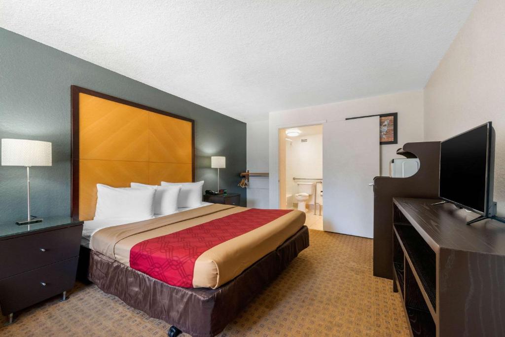 1 King Bed, Mobility Accessible, Exterior Corridor photo