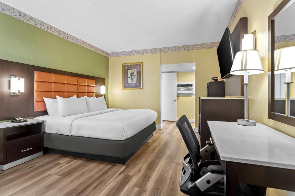 1 King Bed (No Smoking) photo