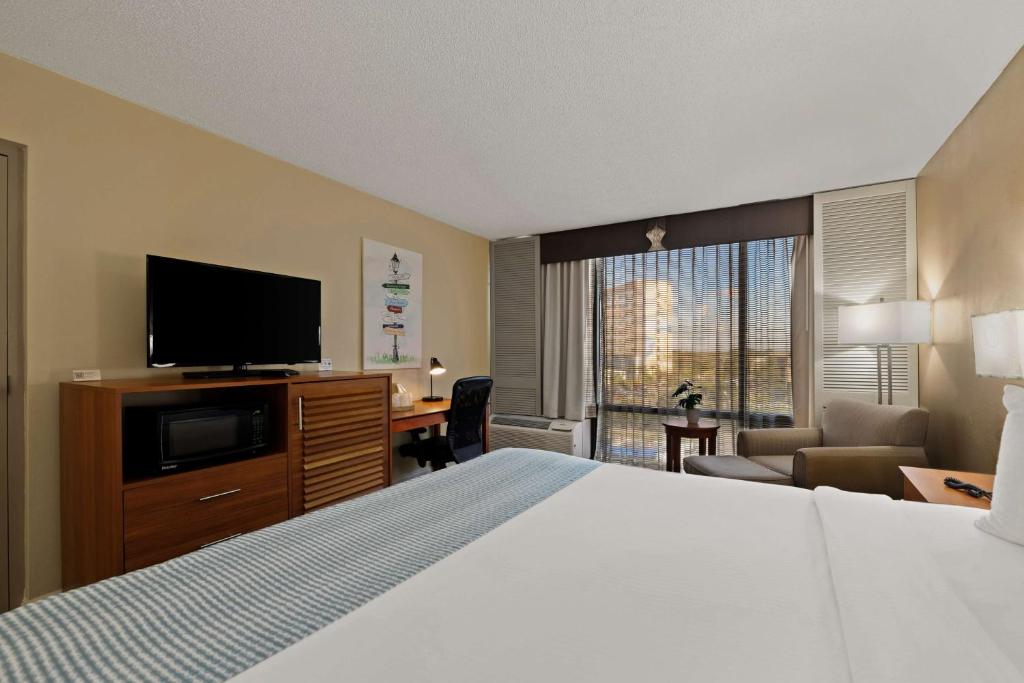 Sofabed | Suite-1 King Bed photo