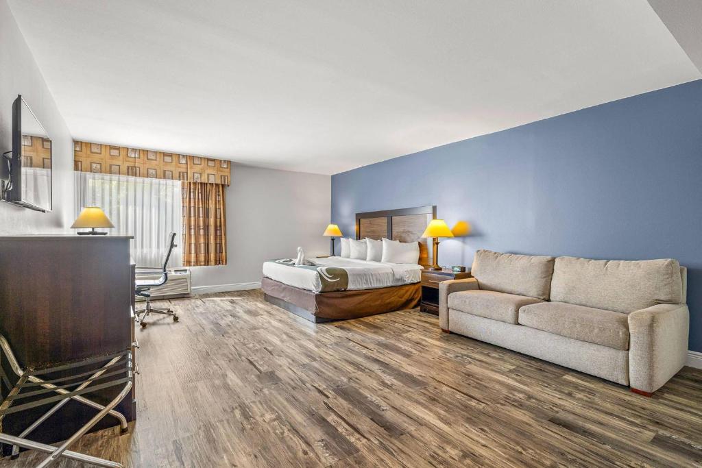 1 King Bed, Sofa Bed (No Smoking) photo
