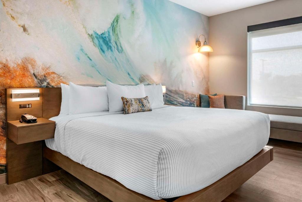 1 King Bed No Smoking photo