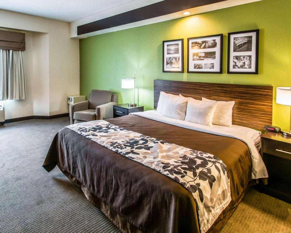 1 King Bed, 1-Person Sofabed photo