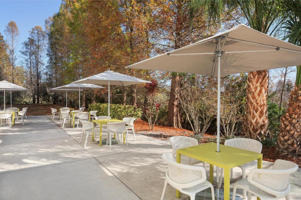 Hilton Garden Inn Tampa North gallery 2