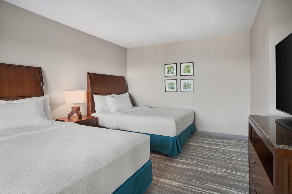 Hilton Garden Inn Tampa North gallery 16