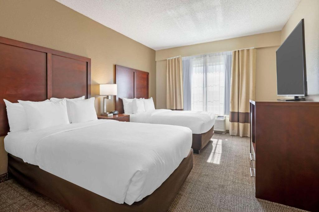 2 Double Beds, 1 Room Suite photo